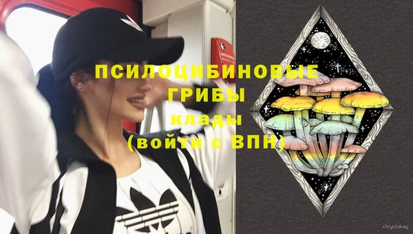 твердый Алексин
