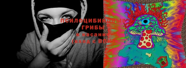 ПСИЛОЦИБИНОВЫЕ ГРИБЫ Дмитров
